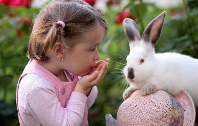 У кого есть котики или кролики?