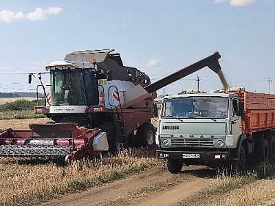 Не помешали бы дожди!