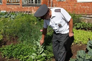 В Нагайбакском районе задержан житель, хранивший гашишное масло