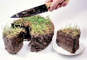 В Нагайбакском районе мошенничали с землёй