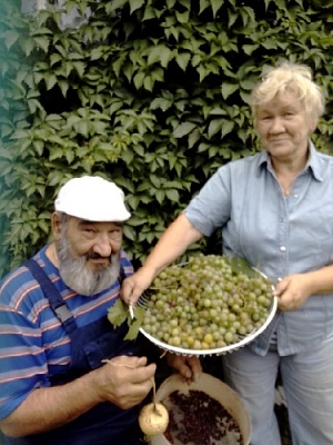 Жизни золотой листопад