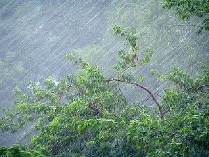 Приближаются сильные дожди с градом