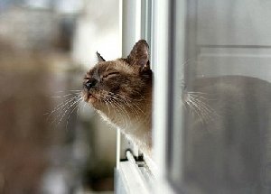 Какая погода будет на День Победы?