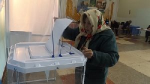 Выберем депутатов разного уровня