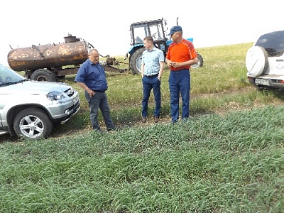 Всходы взошли, ждём урожай