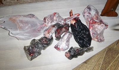 В Нагайбакском районе задержали браконьера