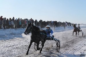 В Нагайбакском районе и кони самые быстрые!