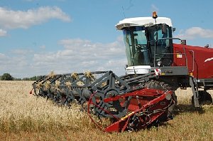 Хлебная пора