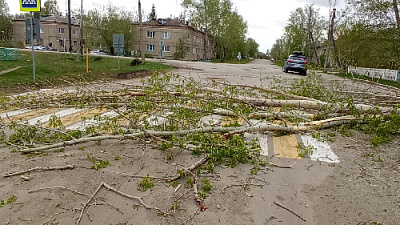 Падают столбы и деревья