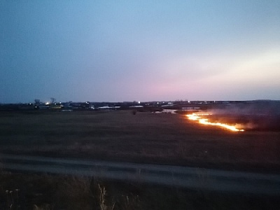 В Нагайбакском районе заполыхали поля 