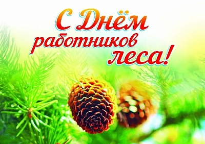 Ваш труд направлен на рациональное использование лесных ресурсов