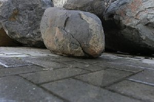 "Яйца динозавра" из Нагайбакского района поехали в Челябинск 