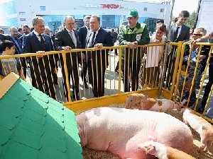 Вопреки санкциям