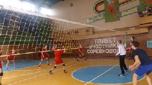 С мячом, винтовкой и на ринге