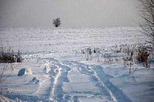 Убита и сожжена девушка