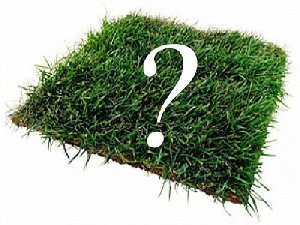 Незаконно оформленный участок в Нагайбакском районе будет возвращён государству