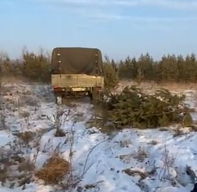 Парк Поколений: Сажаем а потом пилим?