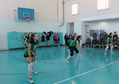 Достойно выступают в рамках "Золотого колоса"