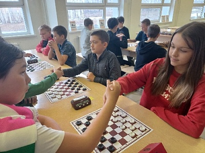 Достойно выступили на региональном уровне