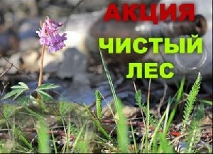 Чтобы было что оставить потомкам...