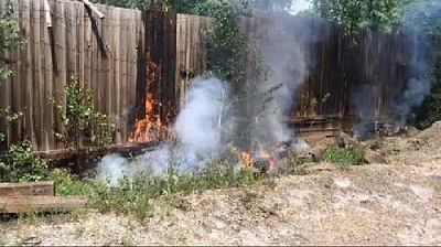 Жителей Челябинской области просят не поджигать тополиный пух