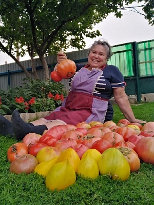 Шесть полянок цветочного праздника