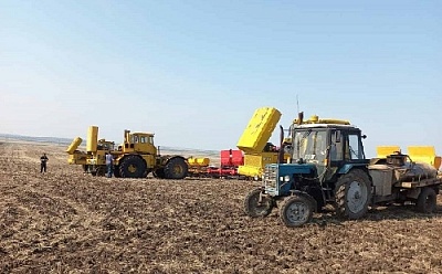 Поля засеяли, как планировалось