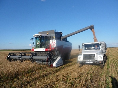 Дождь приостановил уборочную кампанию в Нагайбакском районе
