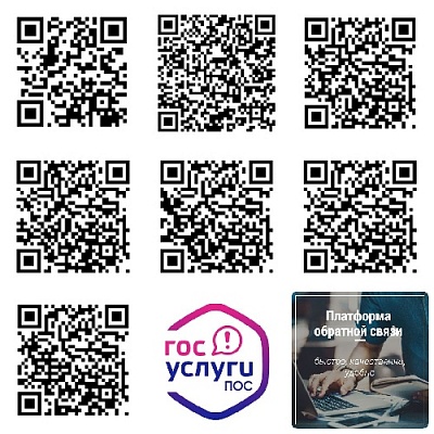 Как обратиться к власти? 