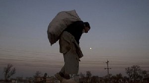 Безработный житель Нагайбакского района украл зерно