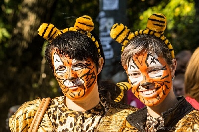 Отзовитесь, тигры и тигрята