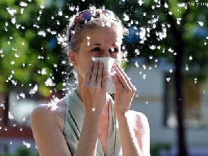 Тополиный пух: аллергия и пожары