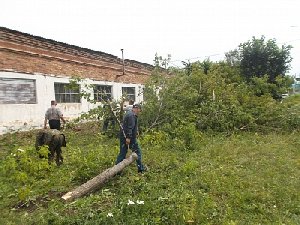 Нагайбакские спасатели взяли пилы. Зачем?