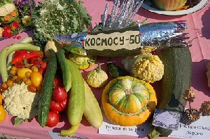 Многоцветье праздника