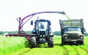 Рассвет встаёт, на луга зовёт