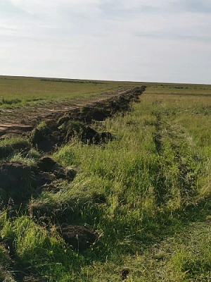 Будет тепло и недорого