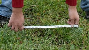 Забор как камень преткновения