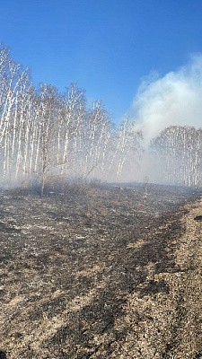 Полыхают поля и сенокосы