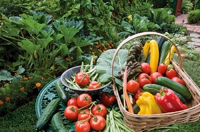 Буйство цветов и красок