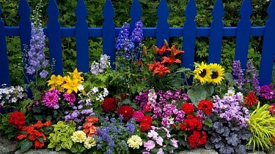 Цвети, Нагайбакский край!