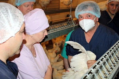 Готовить школьников к работе на селе