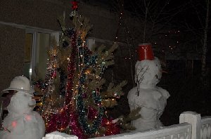 В Фершампенуазе подвели итоги конкурса на лучшую праздничную иллюминацию.