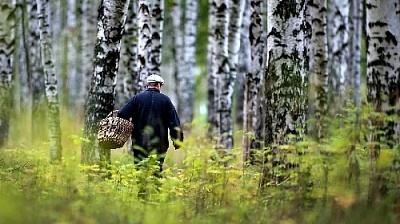 Тихая охота чуть не закончилась трагедией для пенсионера