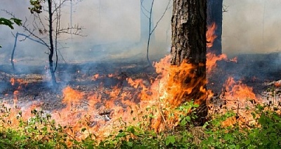 Не сжигайте бытовой мусор и старую листву!