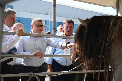 Сельхозпредприятия и фермеры Южного Урала продемонстрировали свои достижения