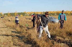 Приведём в порядок парк отдыха с.Фершампенуаз!