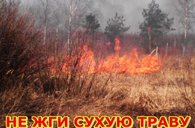 Не жгите траву, сгорят леса!