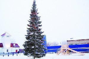 Установлена «главная ёлка" Нагайбакского района